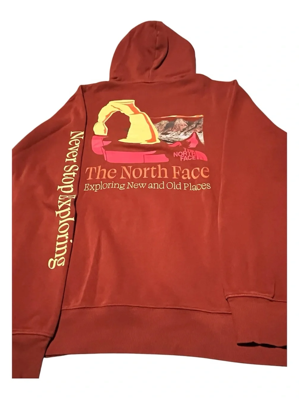 The North Face Men's Burnt Orange Pullover Hoodie